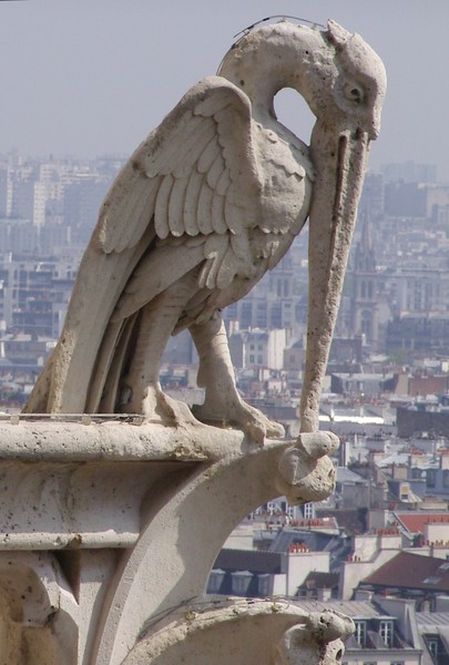 Notre Dame Gargoyle 4