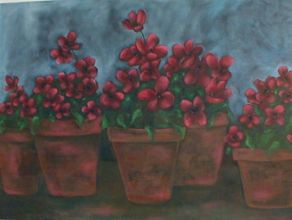 Red Flowers in Pots