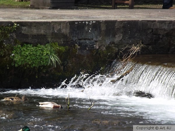 Bakewell.Weir.2