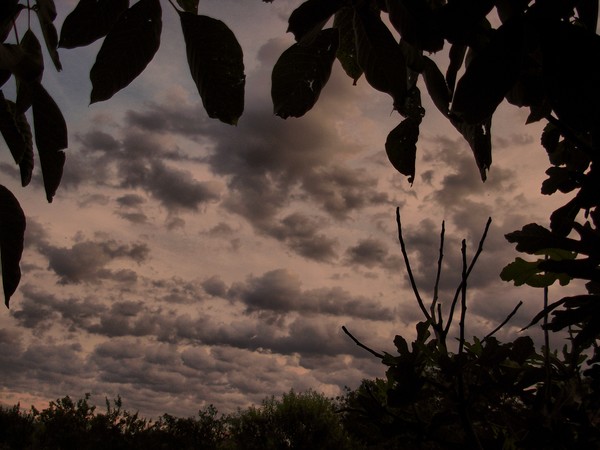 ZRENJANIN: DRIFTING CLOUDS