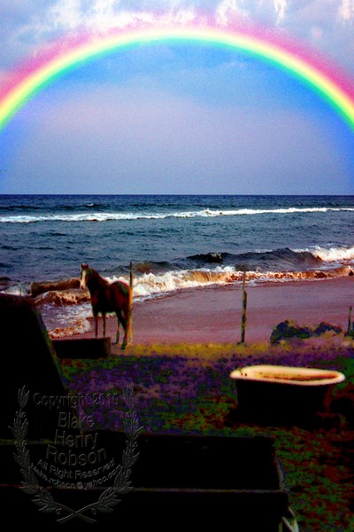 Horse Land Sea Rainbow