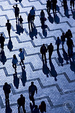 'Crossing Paths' - Sydney, Australia