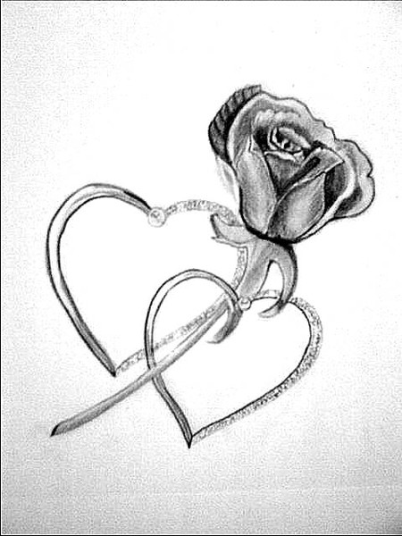 Sketch of my first rose..