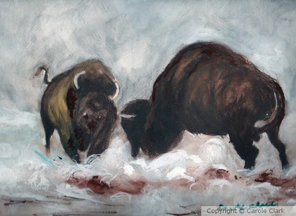 Charging Buffalo