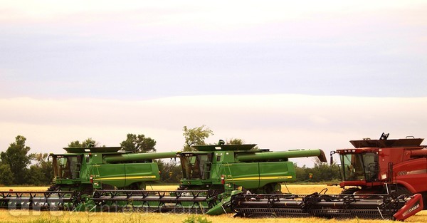 HARVEST GIANTS