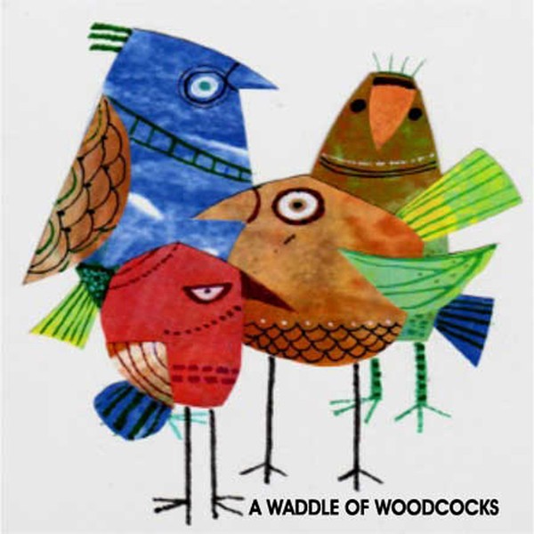 A WADDLE OF WOODCOCKS