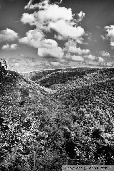 Teign valley