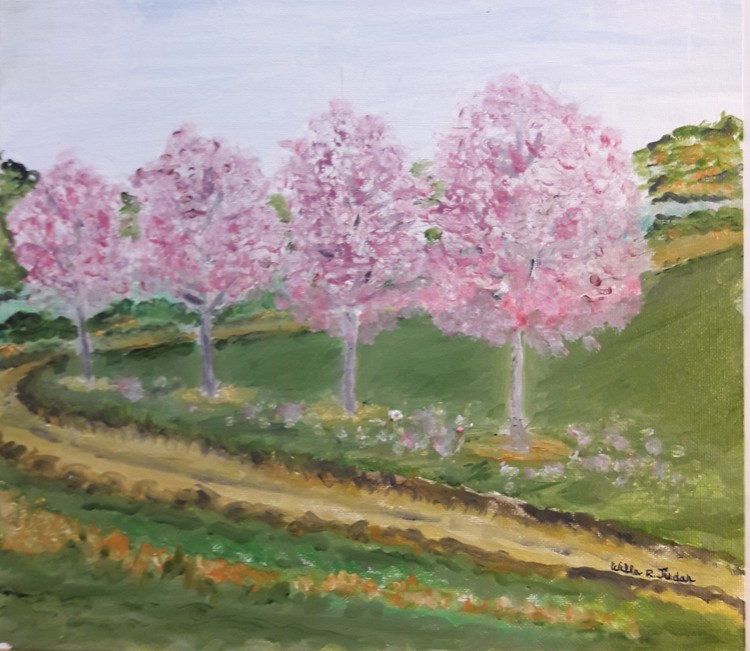 Cherry Trees in the Park