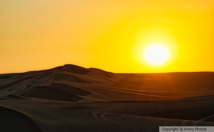 Dune Sunset