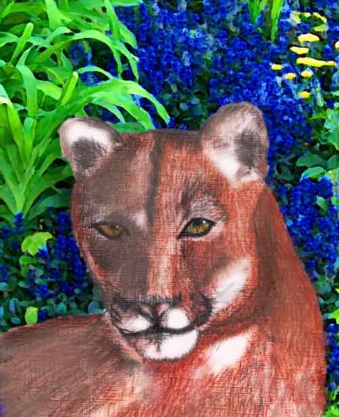 puma in the garden