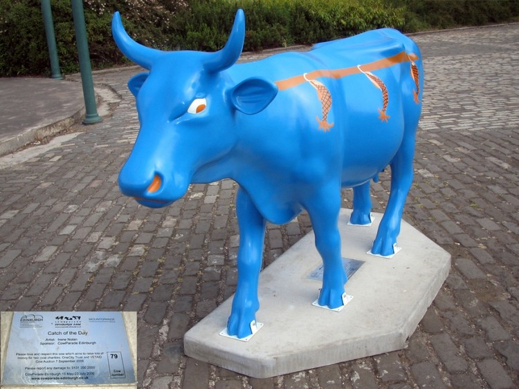 edinburgh cowparade cows 1177607 h