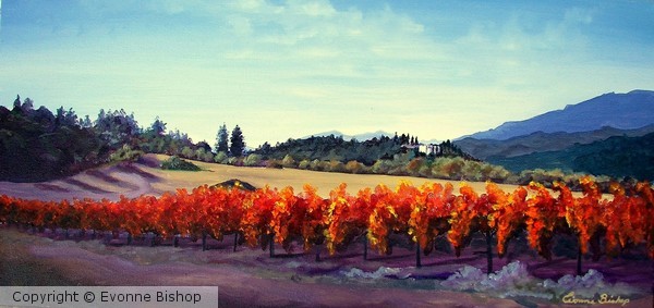 Fall in Napa Valley