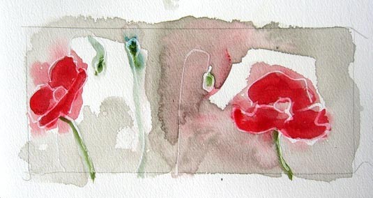 White Out Poppies