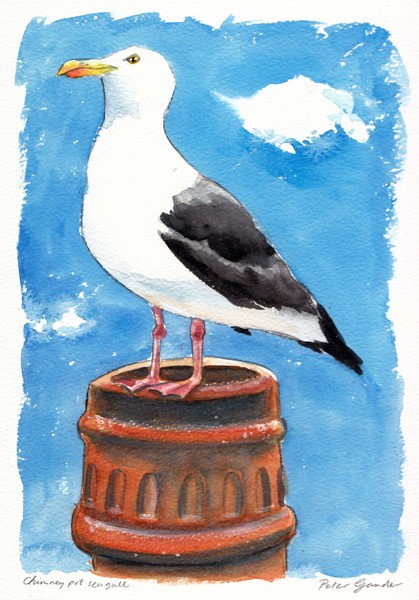 Chimney pot seagull