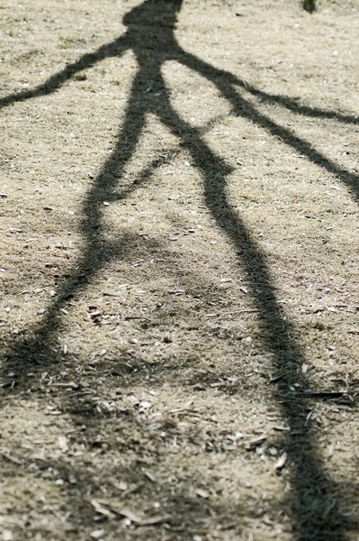 Alien Shadow Walking