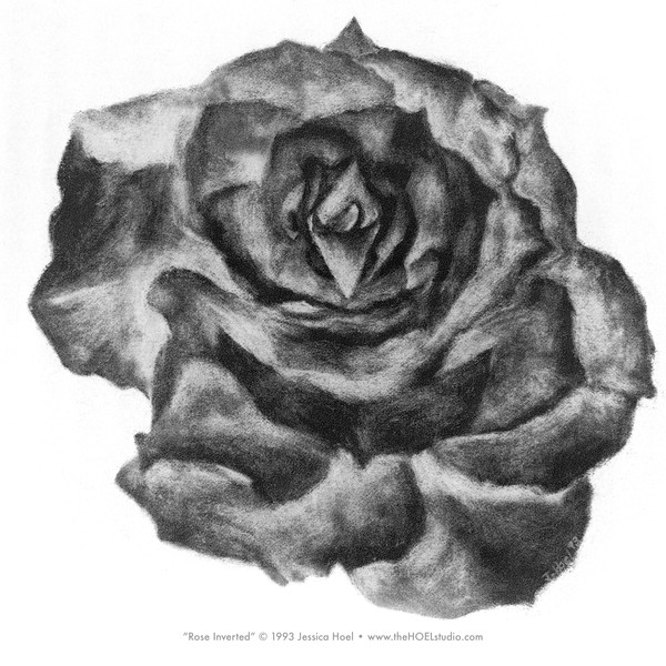 Rose (Inverse)