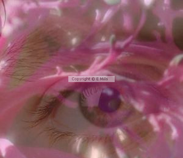 flower eye