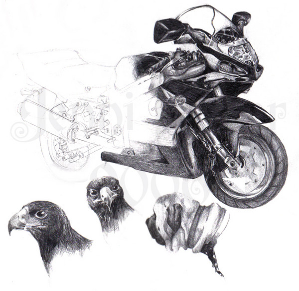 Life Sketches: Bike & Animals