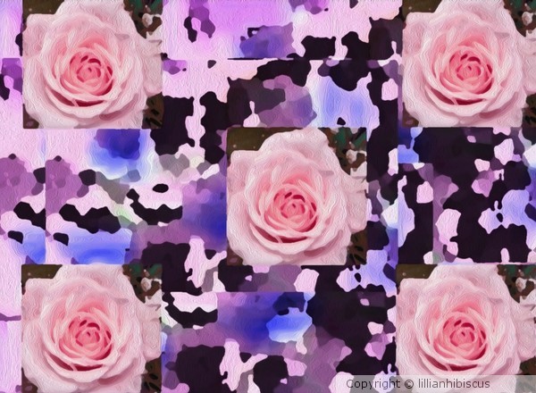 Pink Rose Collage