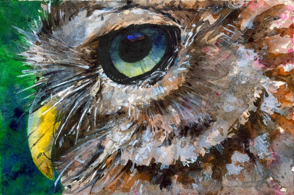 Eyes Of Owl #24 (Original)