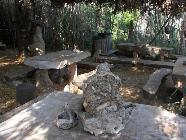 Safari bar interior - Istria