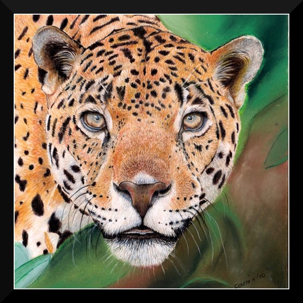 original cp jaguar/big cat