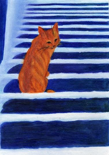 Kitten on stairs