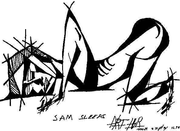 Sam Sleeps