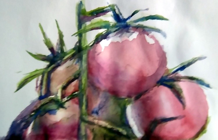 Roma Tomatoes Watercolor