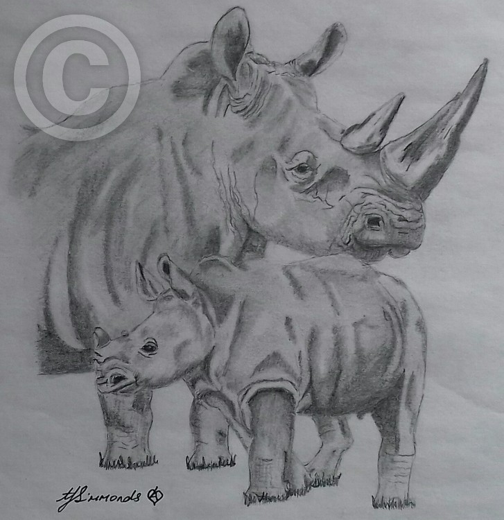 Rhinoceros with baby