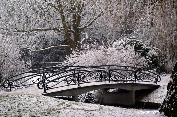 Winter landscape