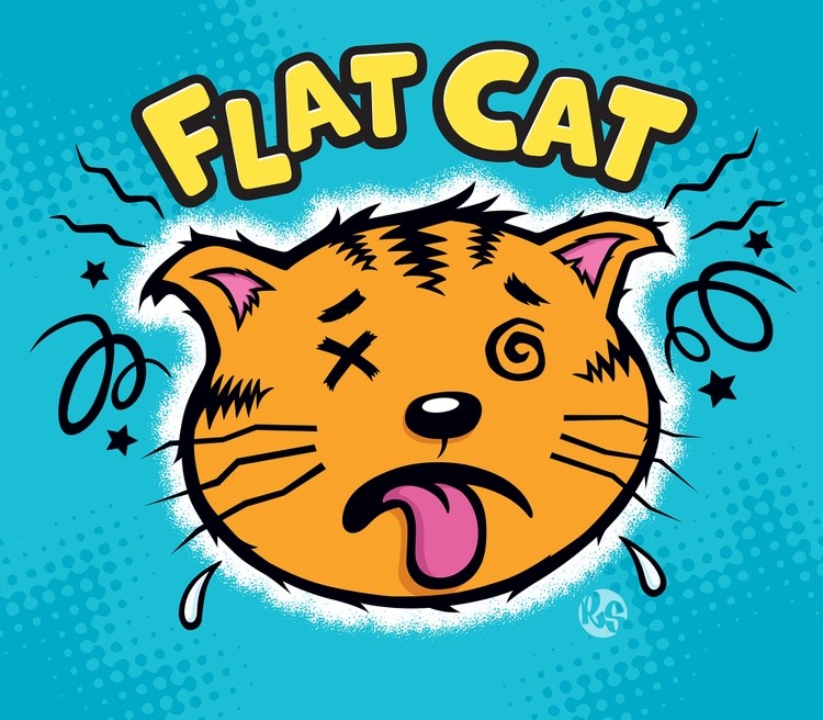 Flat Cat 