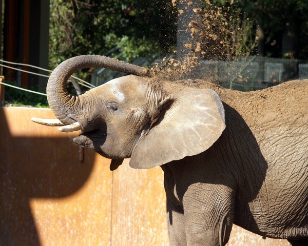 A little splash will do ya!