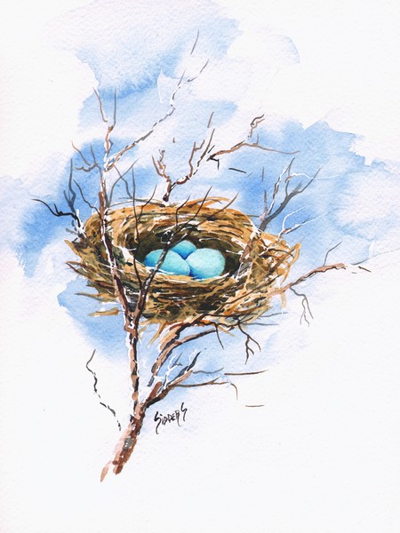 Robin's Nest