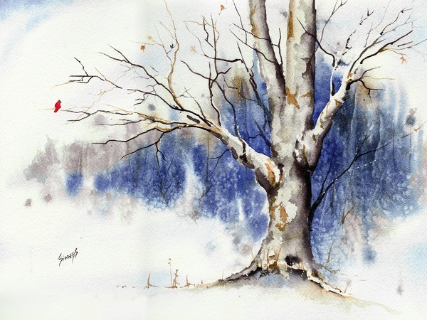 Untitled Winter Tree