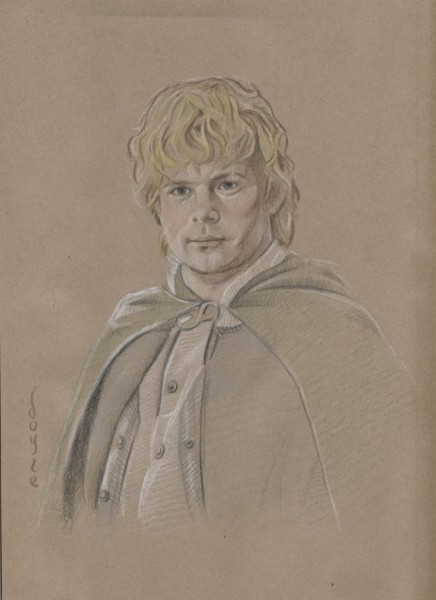Samwise Gamgee (Lord of the Rings)
