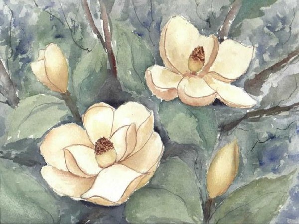 Magnolias