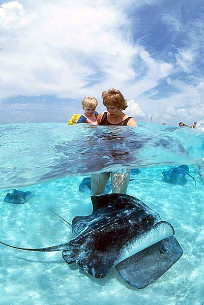 Mother, child and Stingray