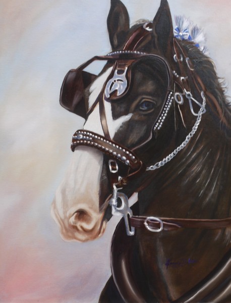 Black Horse and harnes - oil on canvas board 24x18