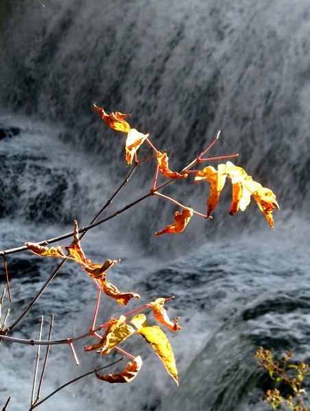 Fall afternoon