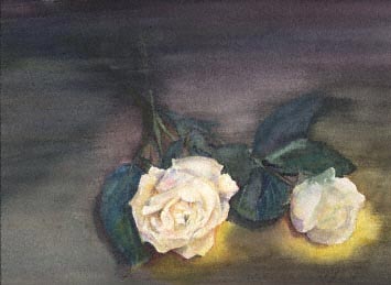 White roses on a surface