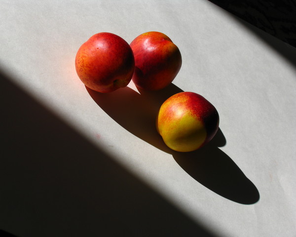 Fruit & Shadow