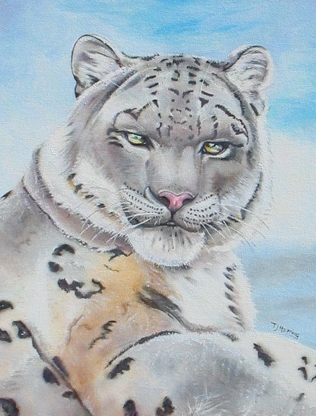 Snow Leopard on Canvas