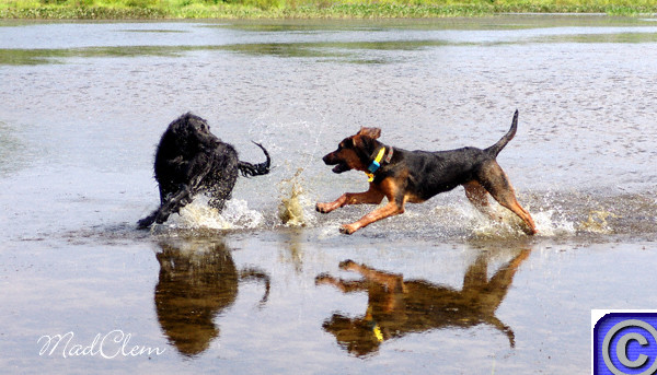 WaterPlay