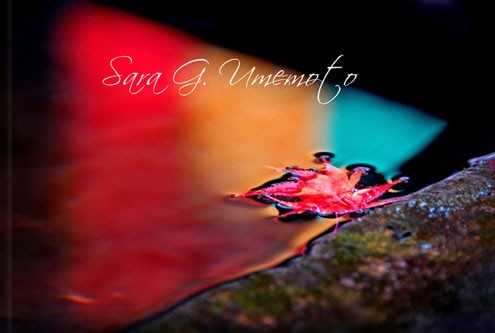 Sara G. Umemoto (book)