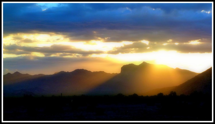 Arizona Desert Landscape I