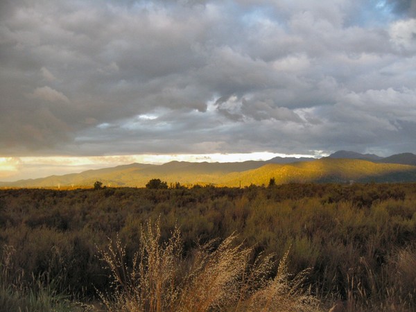 Layers of Desert