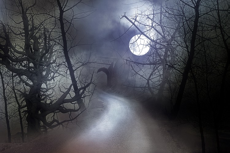 misty-moonlit-night