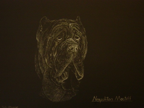 Neapolitan Mastiff