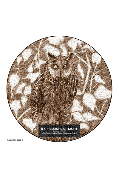 ExpoLight-Graphic-Arts-Owl-0004S (Sample Proof-Art